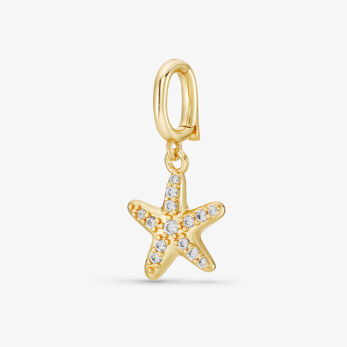 Charm Ariel