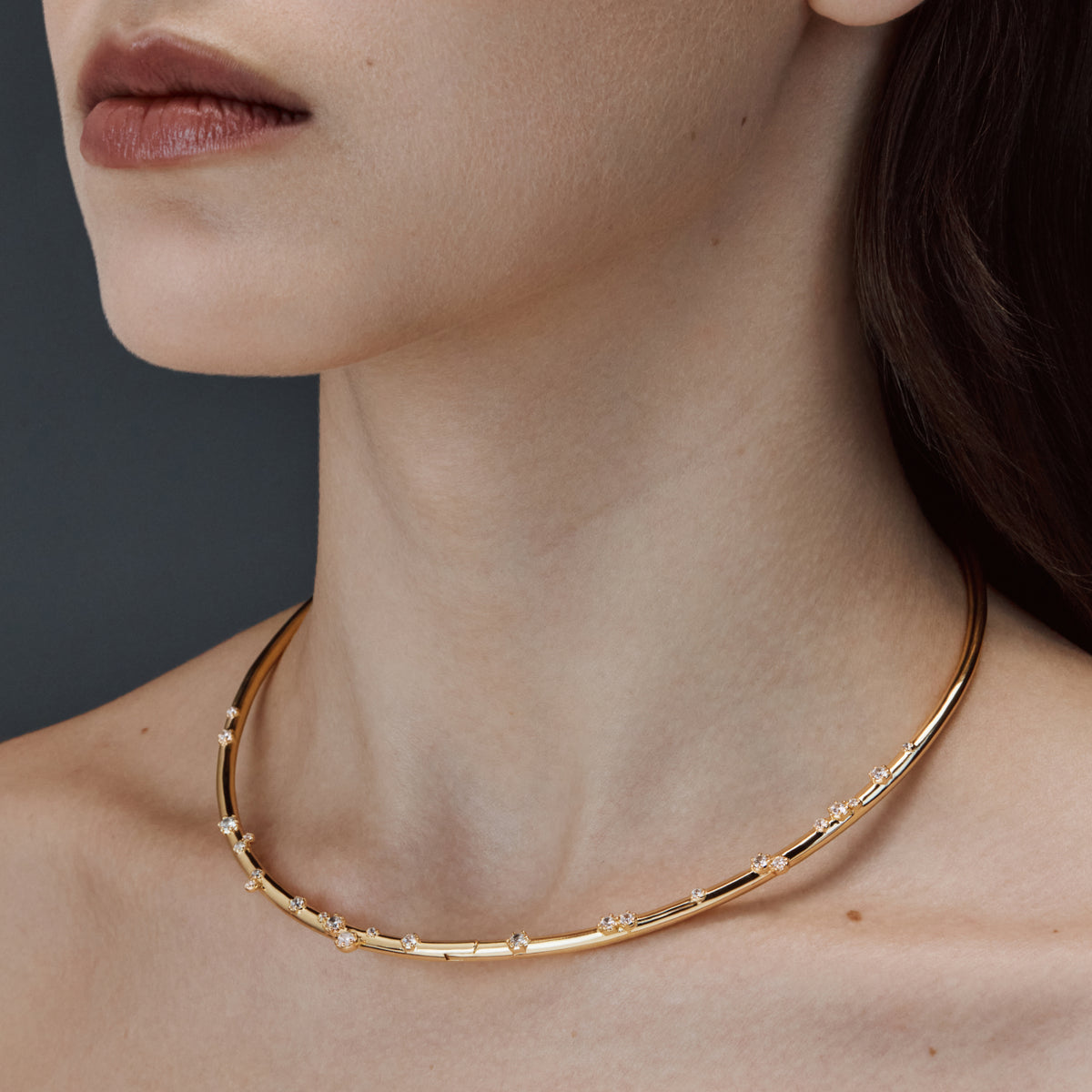 Collier Polaire