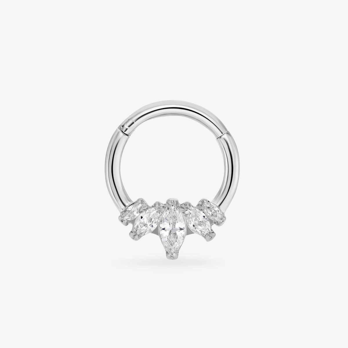 Daith Panthère Blanche