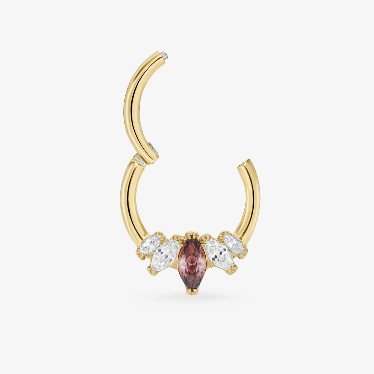 Daith Panthère