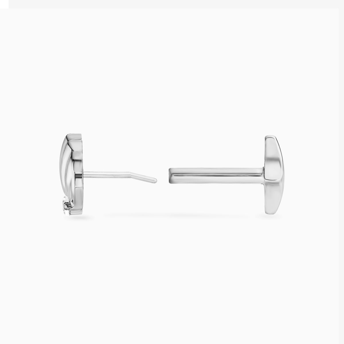 Seashell Titane